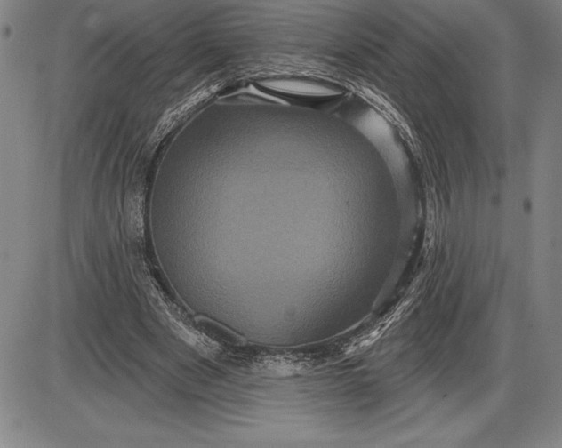 X0000085820489200703301557