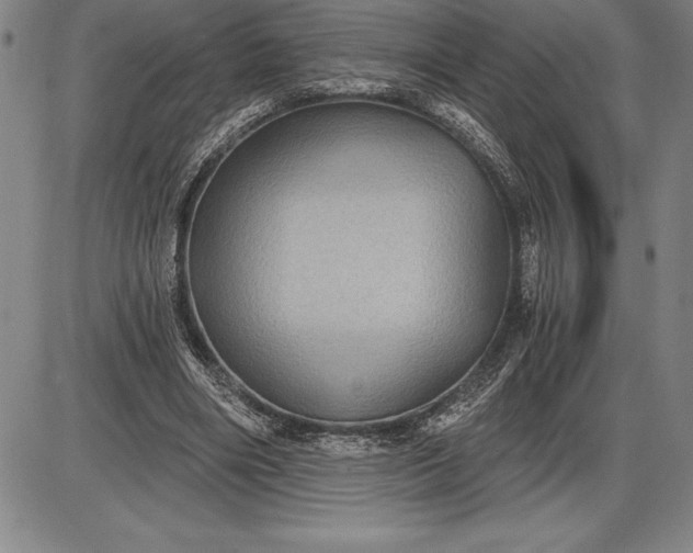 X0000085820490200703301557