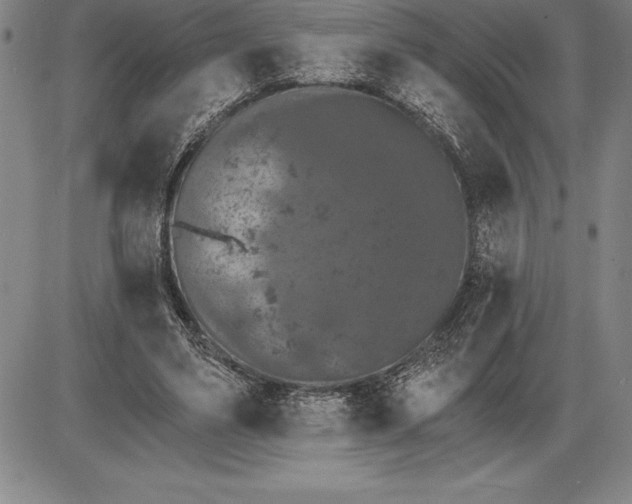 X0000085820491200703301557