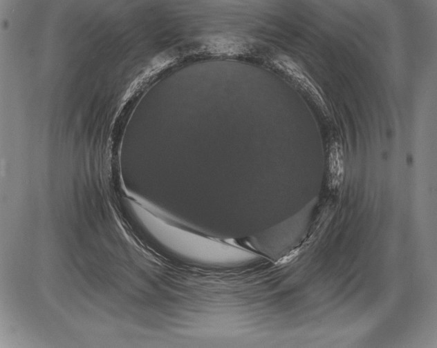 X0000085820492200703301557