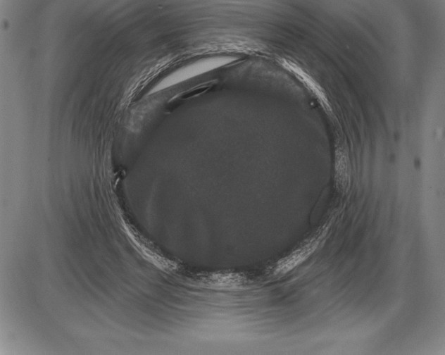 X0000085820493200703301557