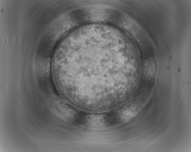 X0000085820495200703301557