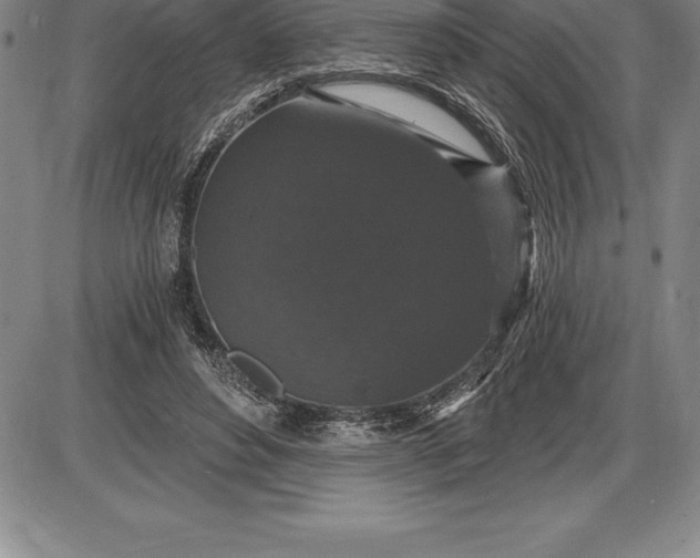 X0000085820496200703301557