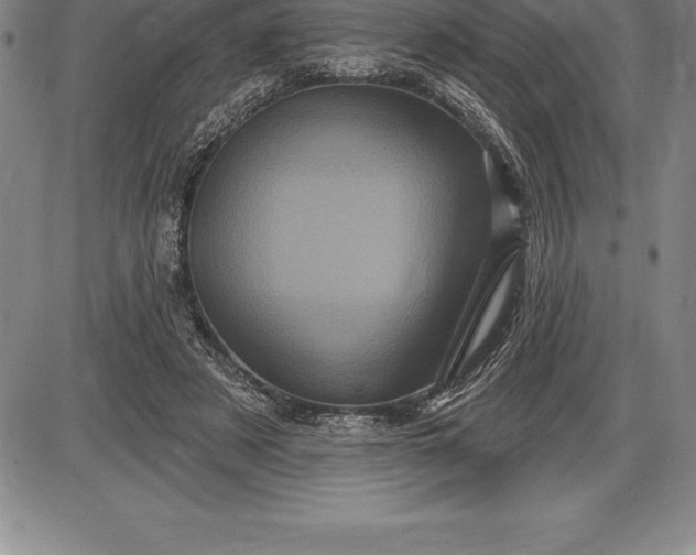 X0000085820497200703301557