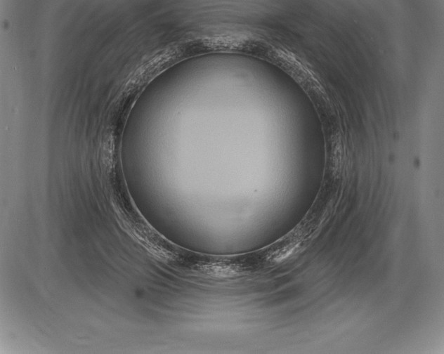 X0000085820498200703301557