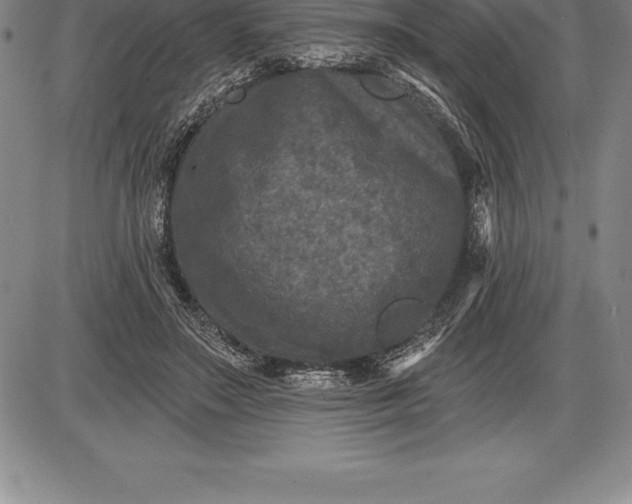 X0000085820499200703301557