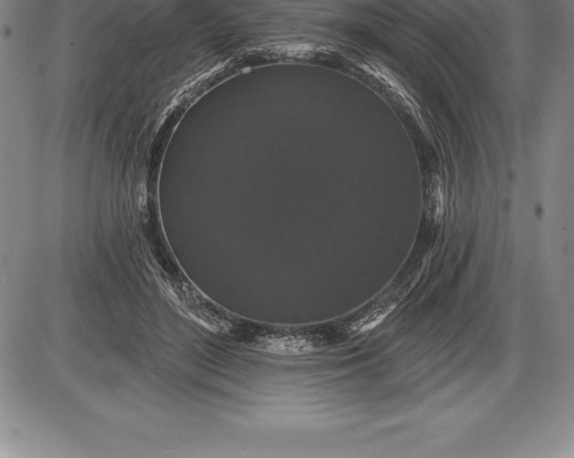 X0000085820500200703301557