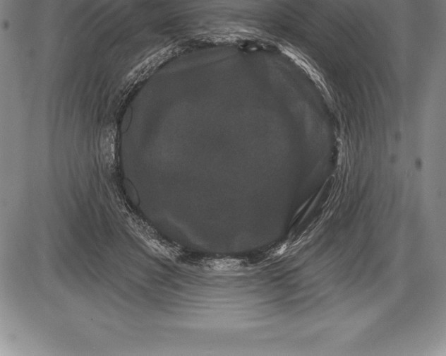 X0000085820501200703301557