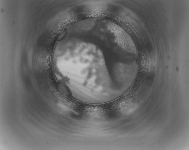 X0000085820503200703301557