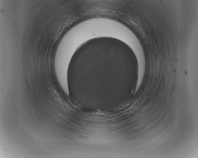 X0000085820504200703301557