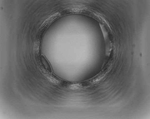 X0000085820505200703301557