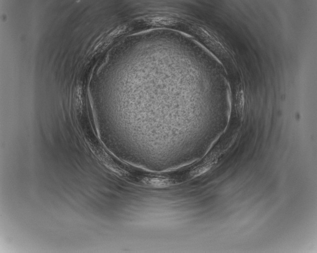 X0000085820506200703301557