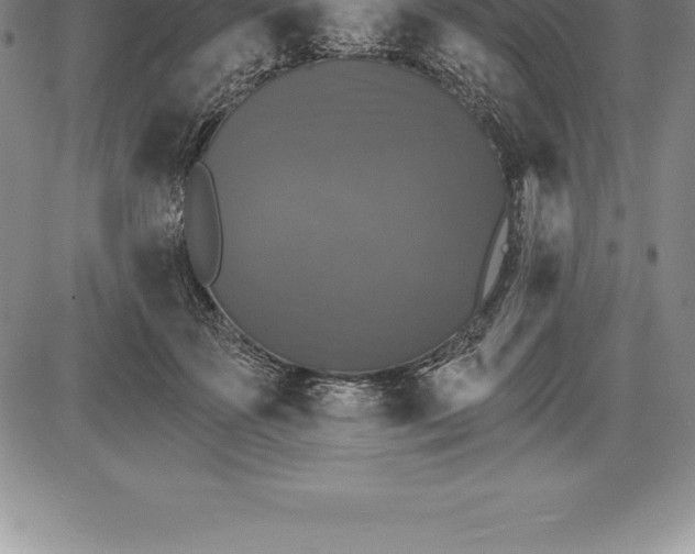 X0000085820507200703301557