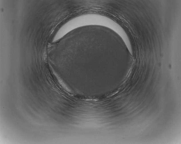 X0000085820508200703301557