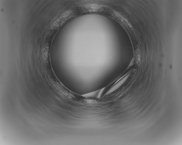 X0000085820509200703301557