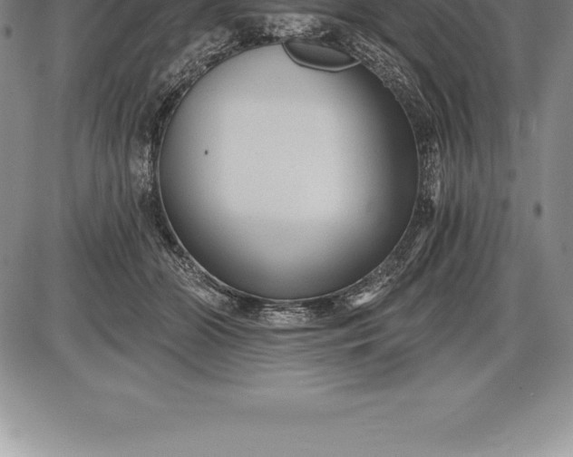 X0000085820510200703301557