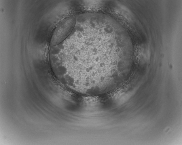 X0000085820511200703301557