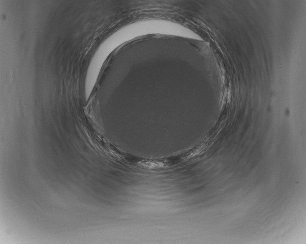 X0000085820512200703301557