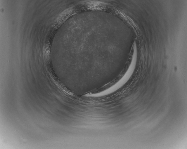 X0000085820513200703301557