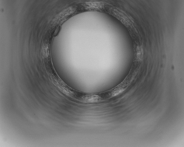 X0000085820514200703301557