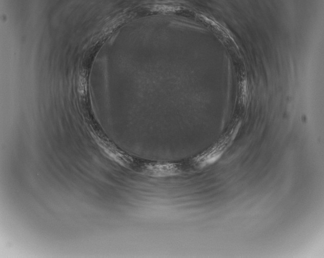 X0000085820517200703301557