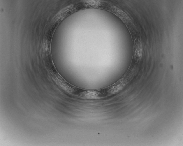 X0000085820518200703301557