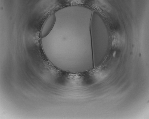 X0000085820519200703301557