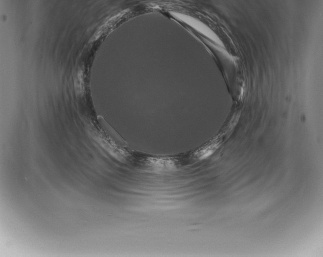 X0000085820520200703301557