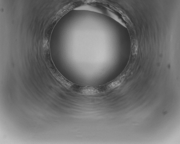 X0000085820521200703301556