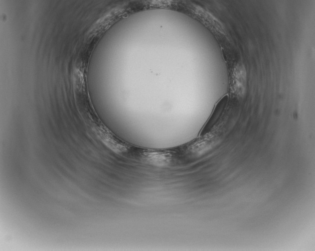 X0000085820522200703301556