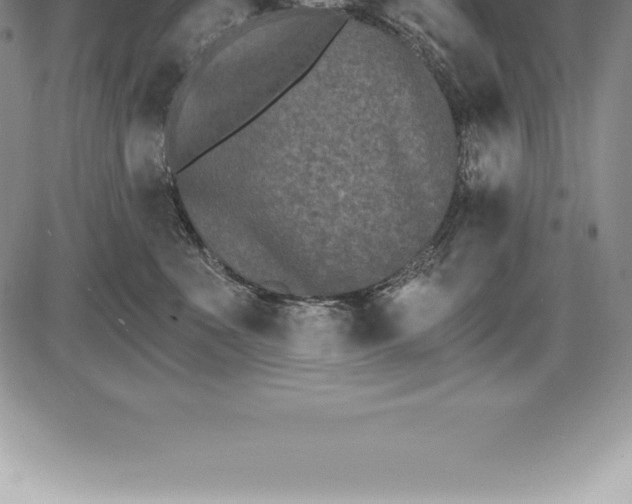 X0000085820523200703301556