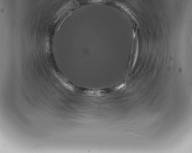 X0000085820524200703301556