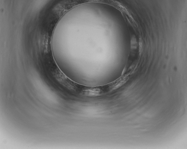 X0000085820525200703301556