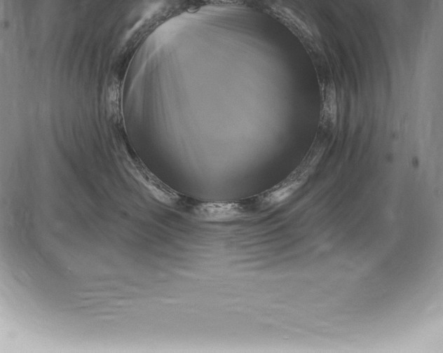 X0000085820526200703301556