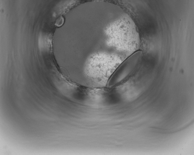 X0000085820527200703301556