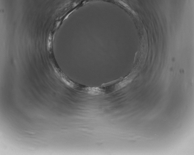 X0000085820528200703301556