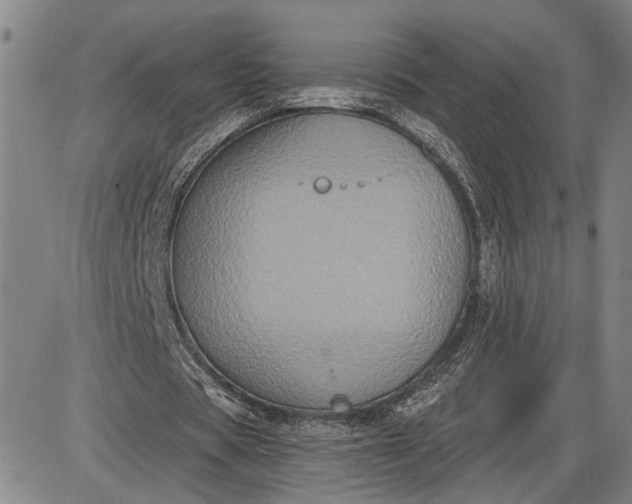 X0000085820529200703301556