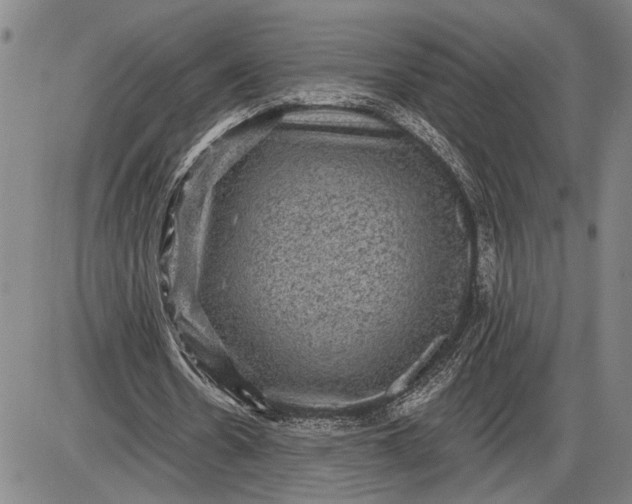 X0000085820530200703301556