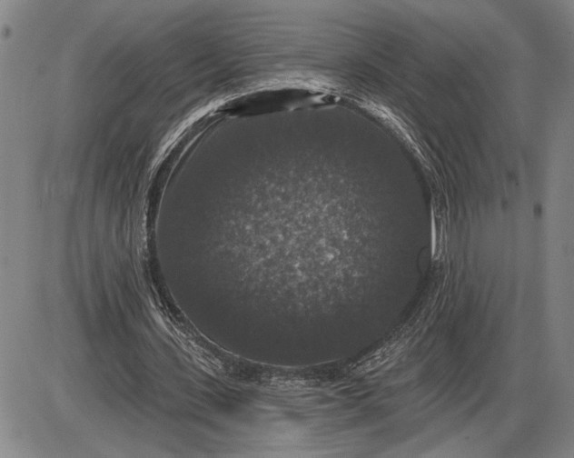 X0000085820531200703301556