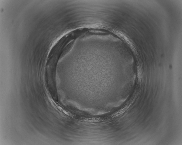 X0000085820532200703301556