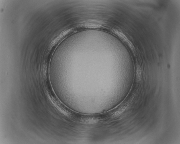 X0000085820533200703301556