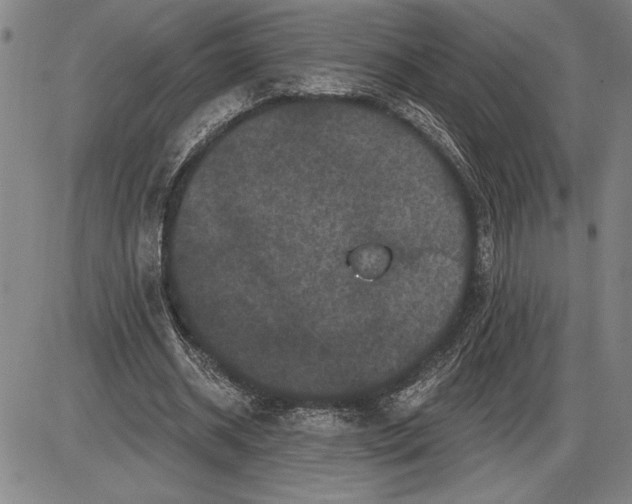 X0000085820534200703301556