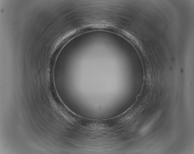 X0000085820535200703301556