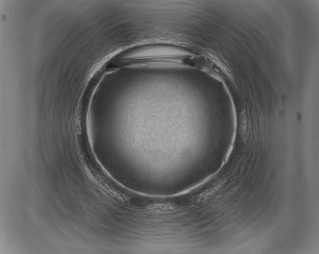 X0000085820536200703301556