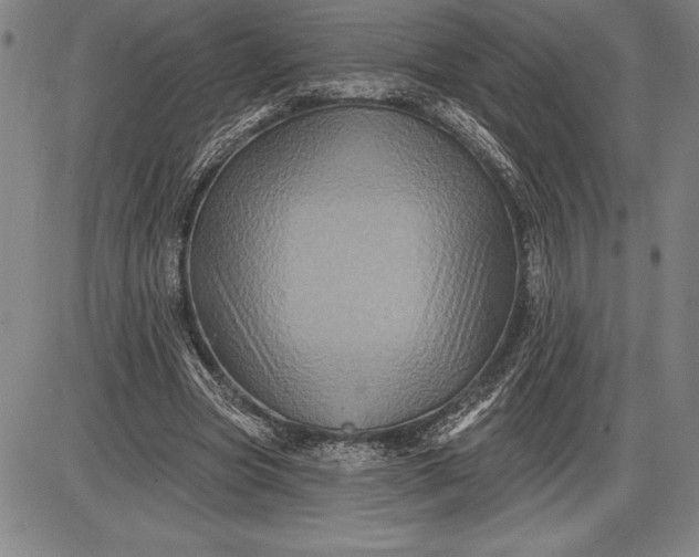 X0000085820537200703301556