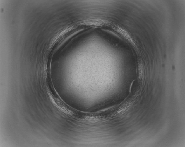 X0000085820538200703301556