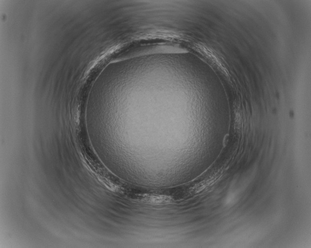 X0000085820539200703301556