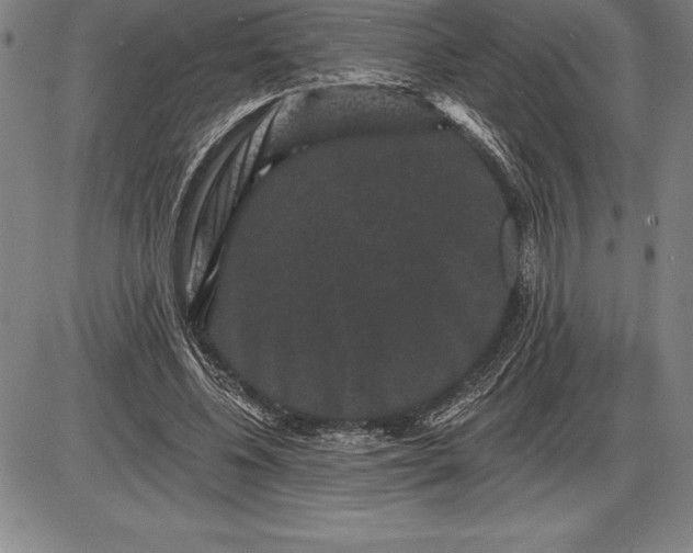 X0000085820540200703301556