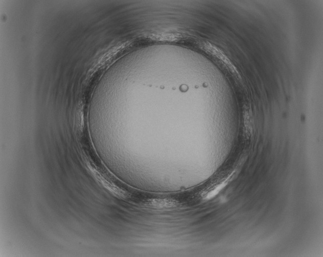 X0000085820541200703301556