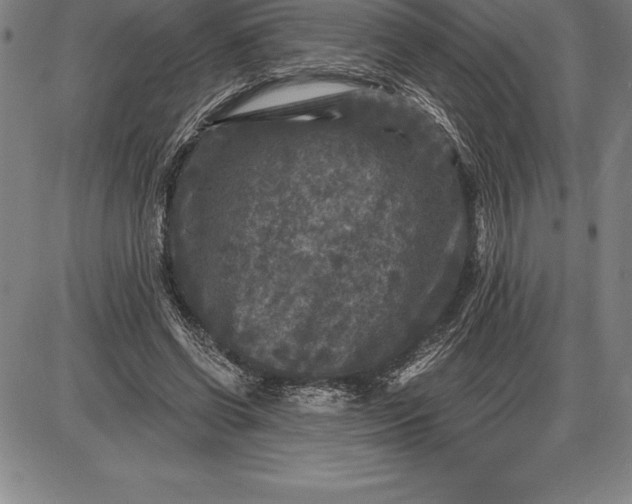 X0000085820542200703301556